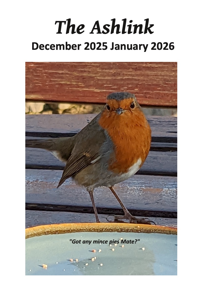 Ashlink - Dec/Jan 2026