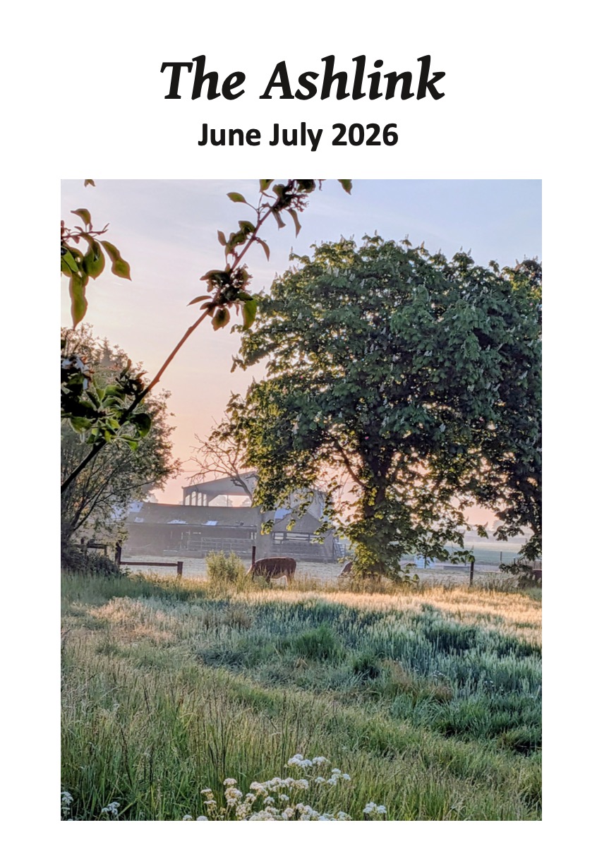 Ashlink - Jun/Jul 2026